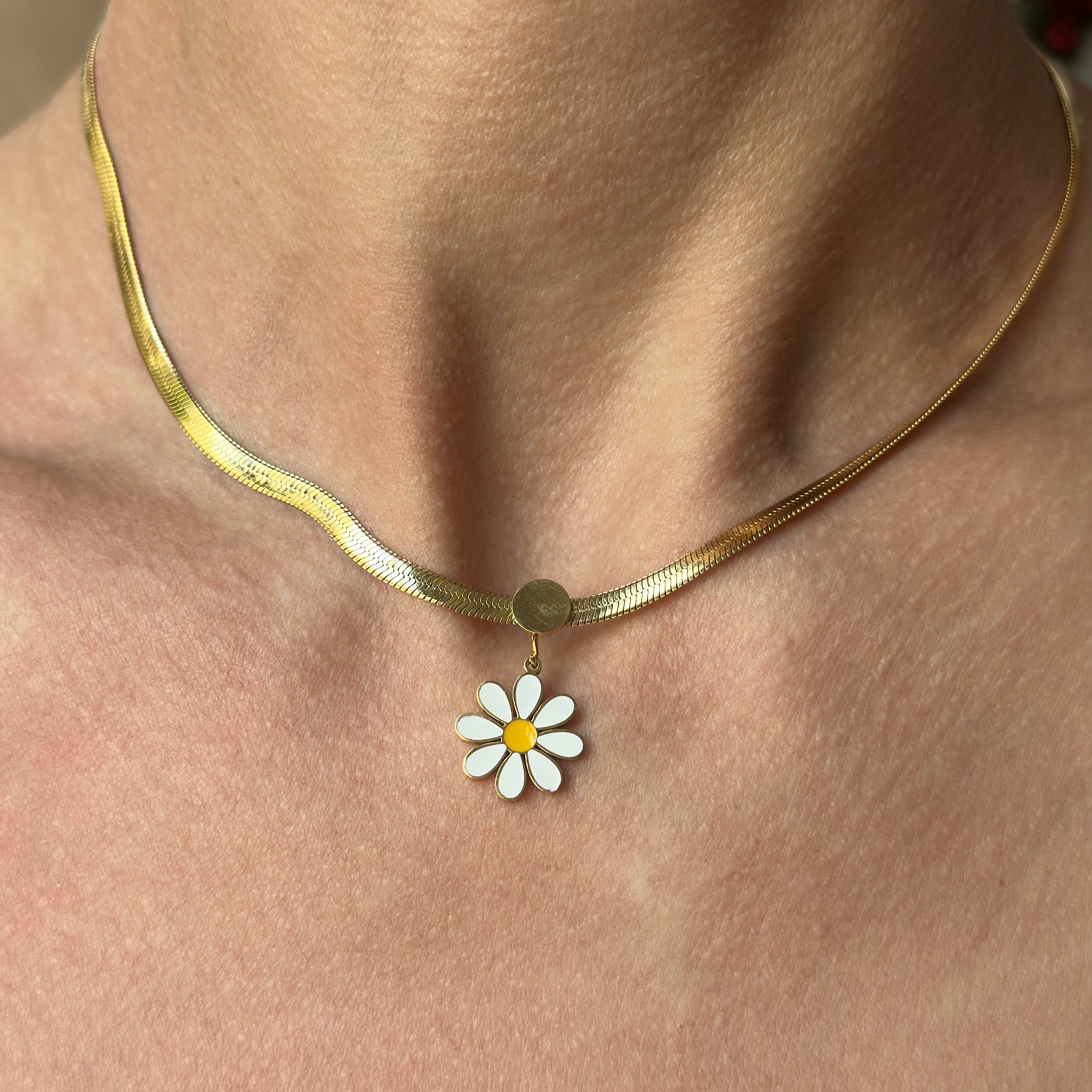 Daisy